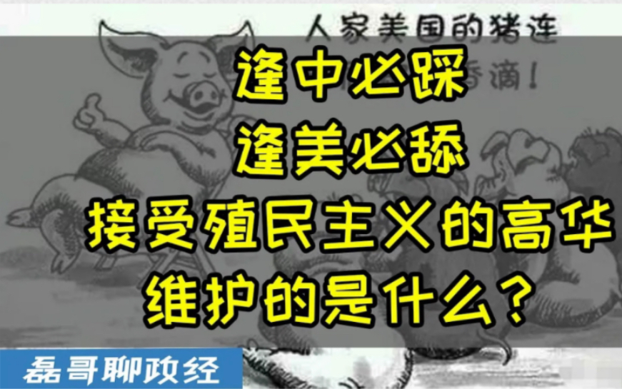 中国崛起踩碎了高华的优越感!什么是殖人,接受了殖民主义的高华在维护什么?自干五在抵抗的是什么? .哔哩哔哩bilibili