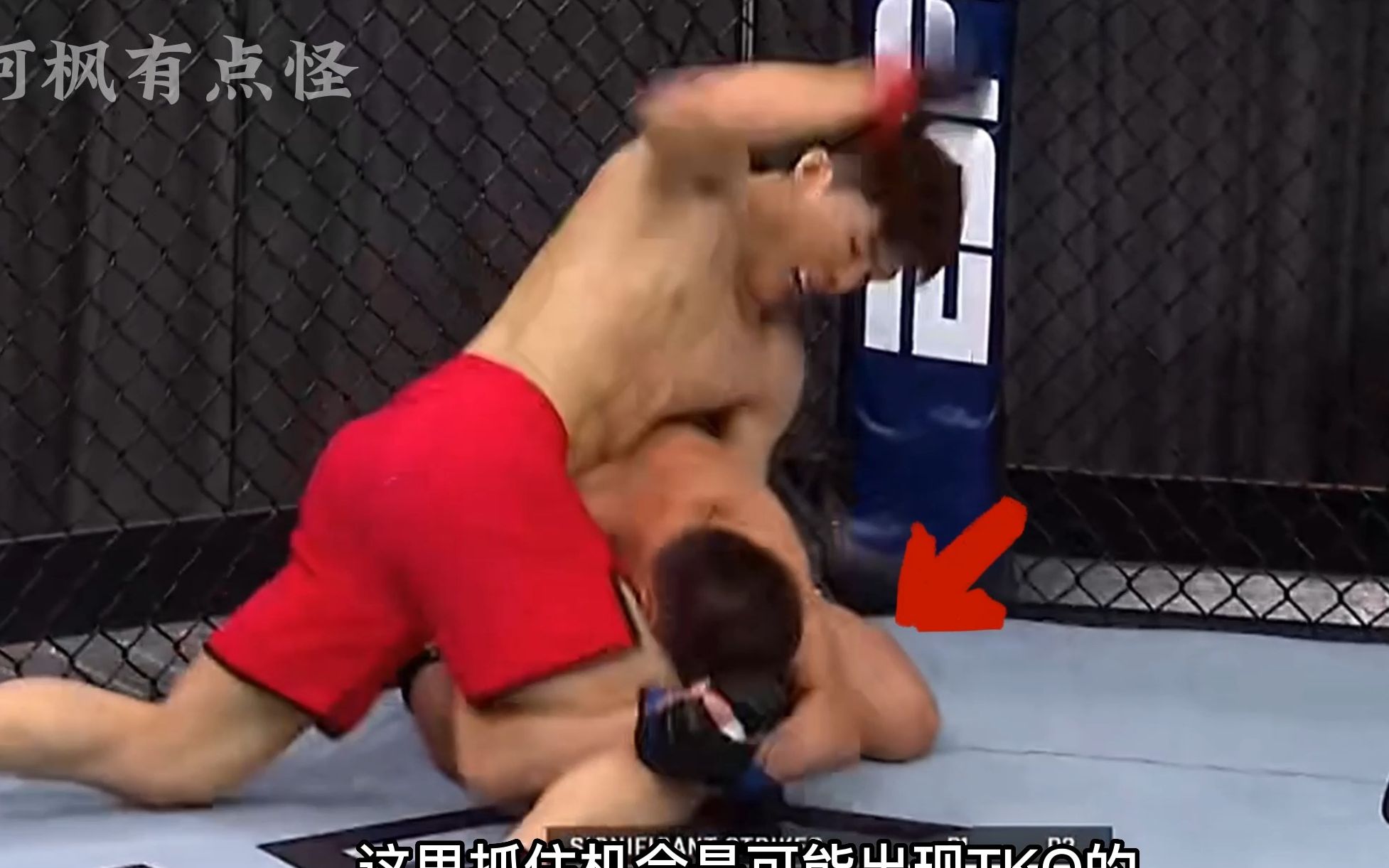 [图]UFC：严重犯规！巴哈特被疯狂砸后脑至意识模糊