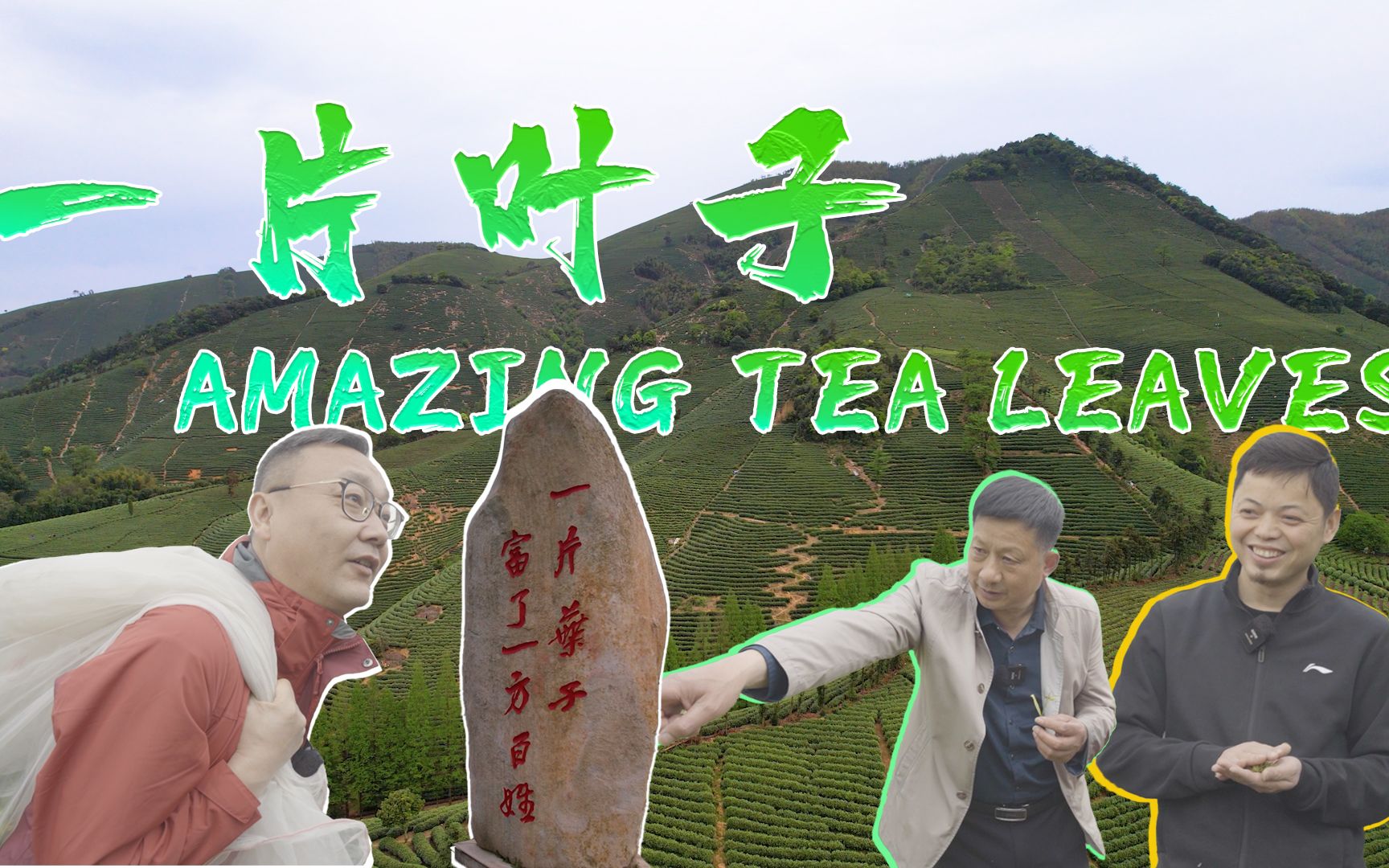 一片叶子-“中国白茶第一村”——安吉县黄杜村
