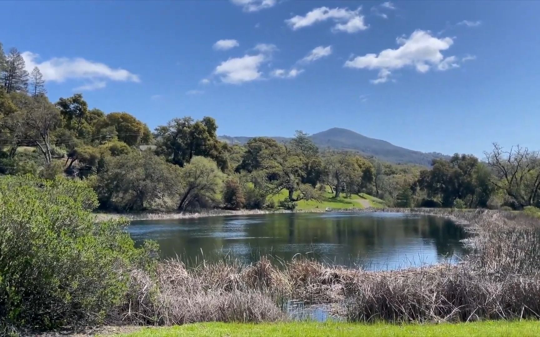 (江山系列)加州纳帕谷一座超过15个故宫大小的农场