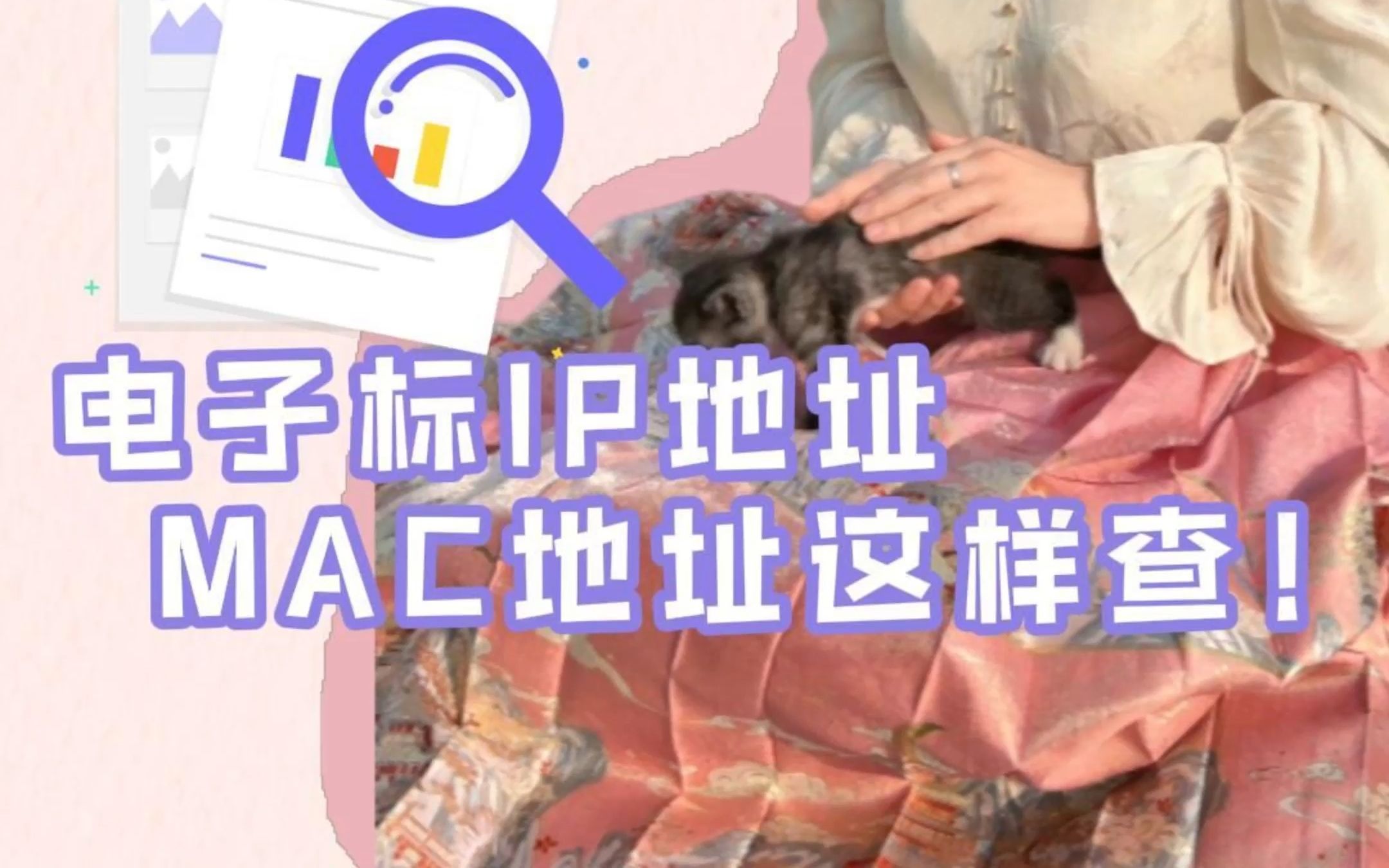 电子标IP地址,MAC地址这样查哔哩哔哩bilibili