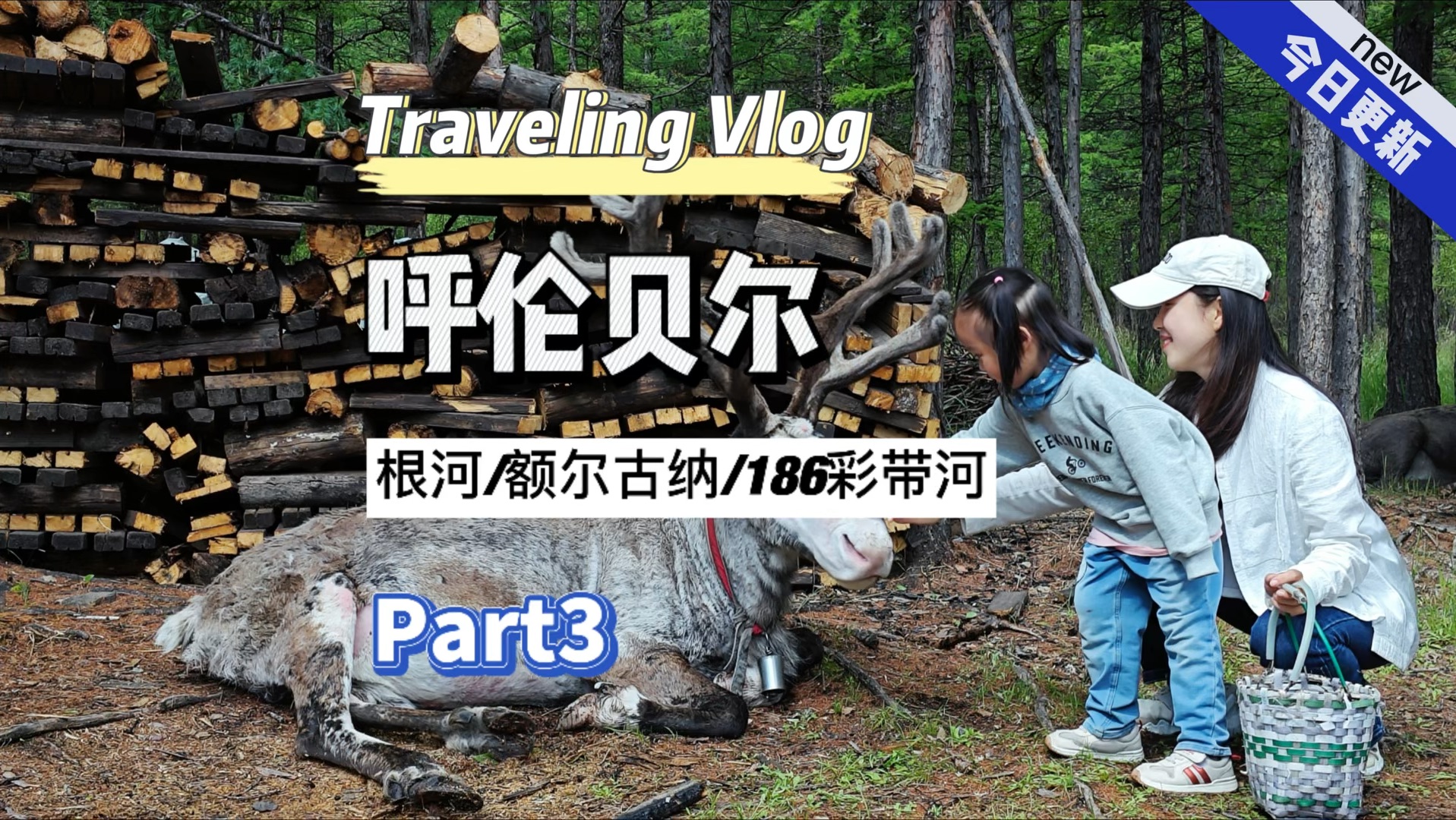 呼伦贝尔环线自驾part3根河额尔古纳