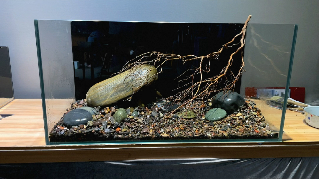 溪流鱼缸造景