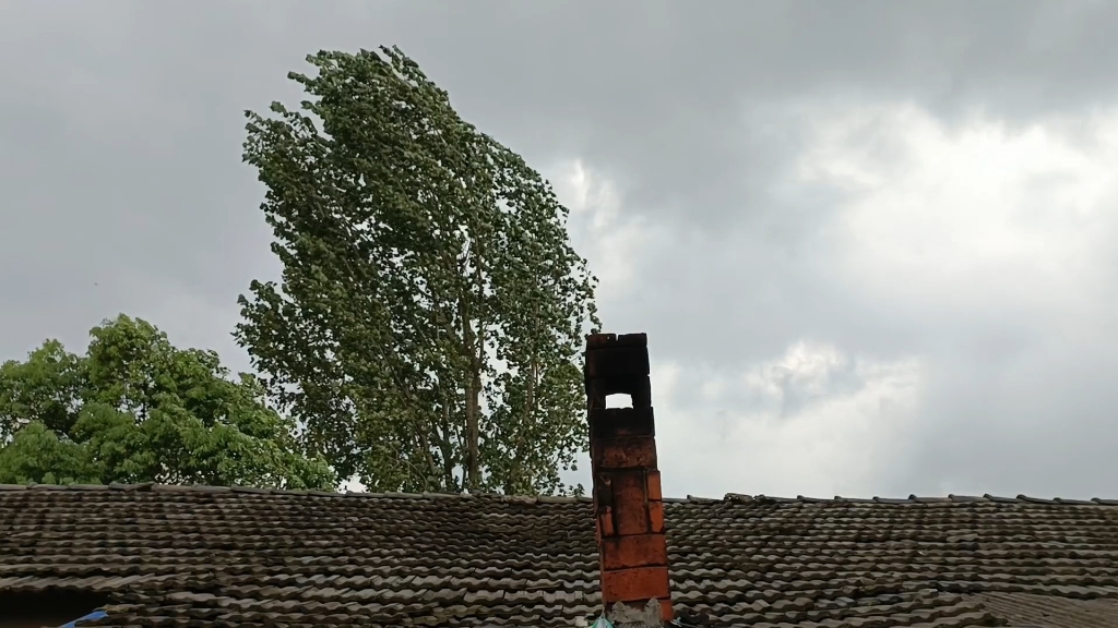 北风萧萧暮雨子规啼,南雨瑟瑟秋风扫落叶.