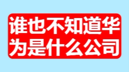 这个世界的最大难题是谁也不知道华为是什么公司#华为#苹果#谷歌#美国#台积电#印度#日本#英伟达#特斯拉#马斯克哔哩哔哩bilibili