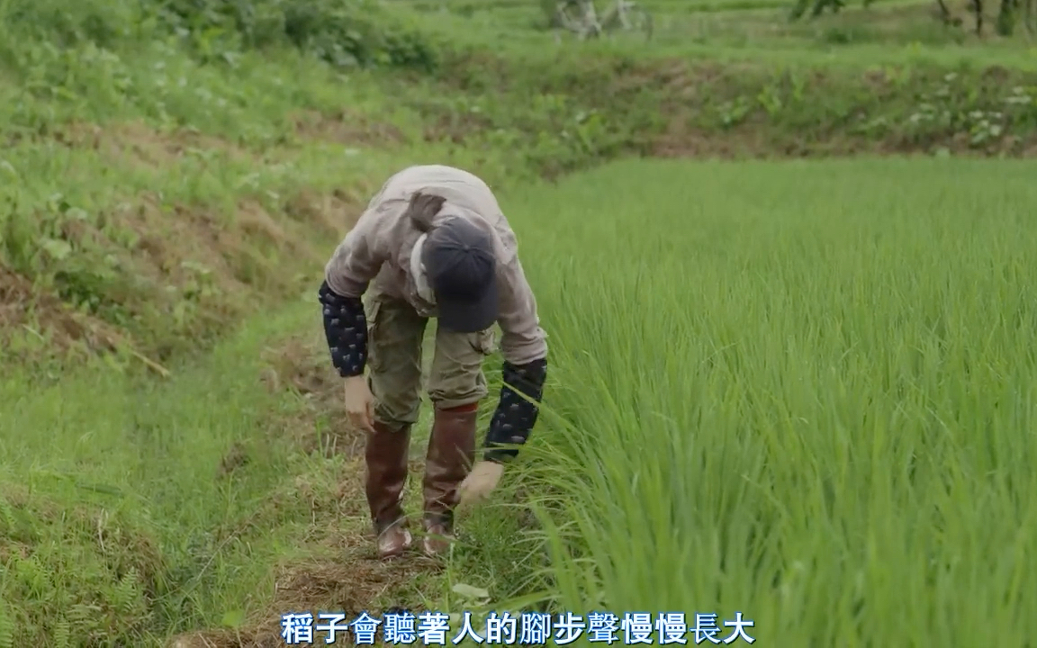 小森林｜冬