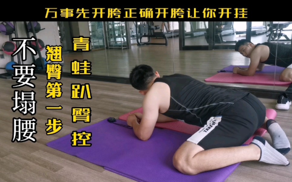 活动作品青蛙趴臀控