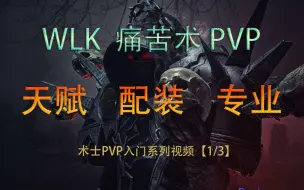 【Darkanova】WLK 痛苦术PVP 天赋/配装/专业选择 入门系列视频【1/3】