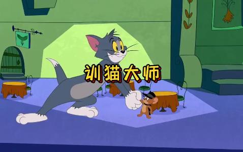 “训猫大师”哔哩哔哩bilibili