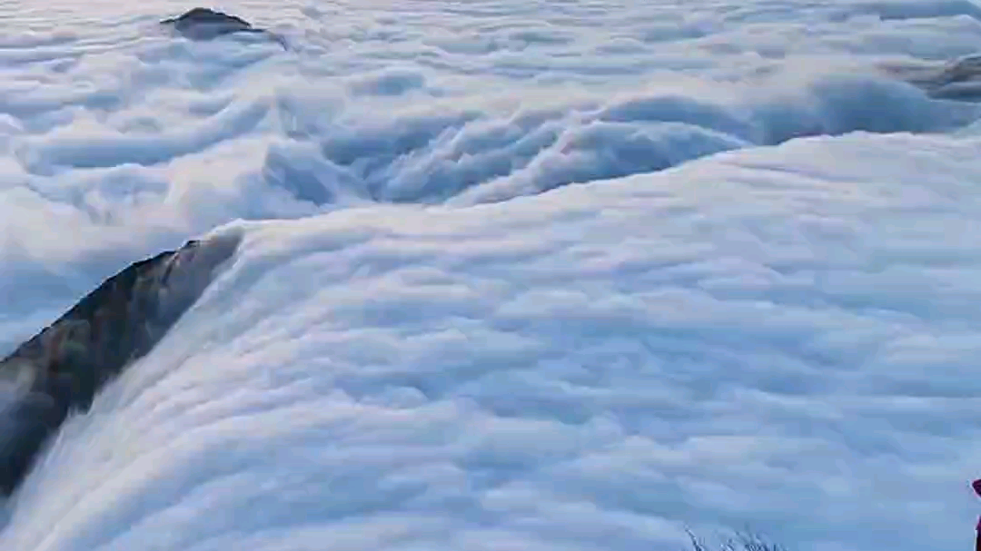 [图]凤舞九天。瑞雪兆丰年