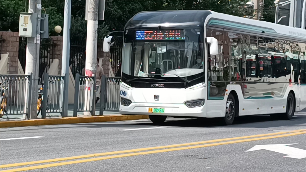 上海白金刚公交随拍