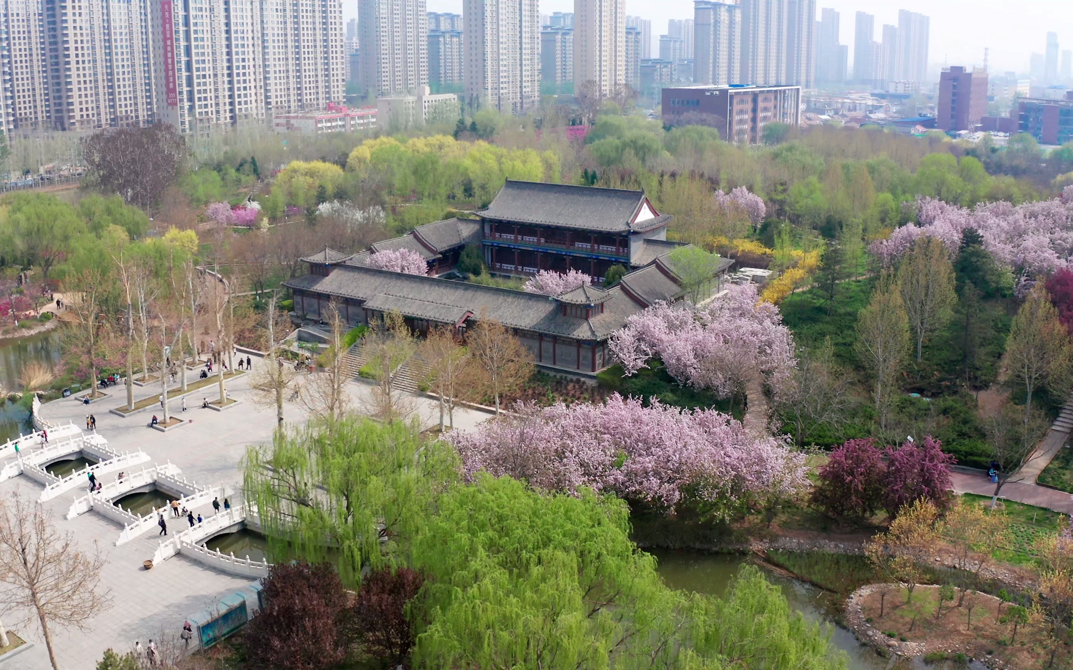 沧州名人植物园 · 2022年 四月映像