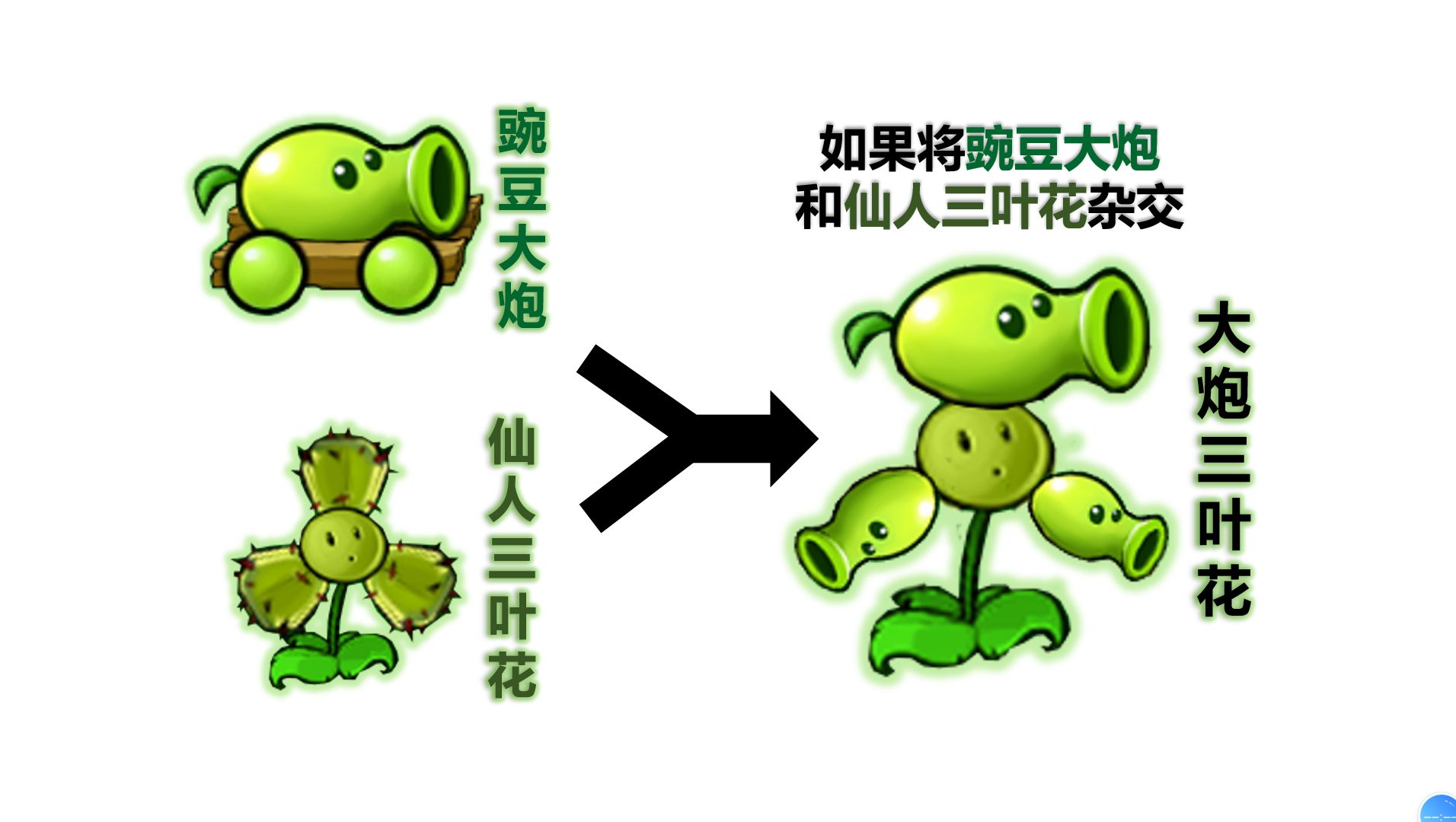 如果豌豆大炮和仙人三叶花杂交,将会有多强?哔哩哔哩bilibili植物大战僵尸