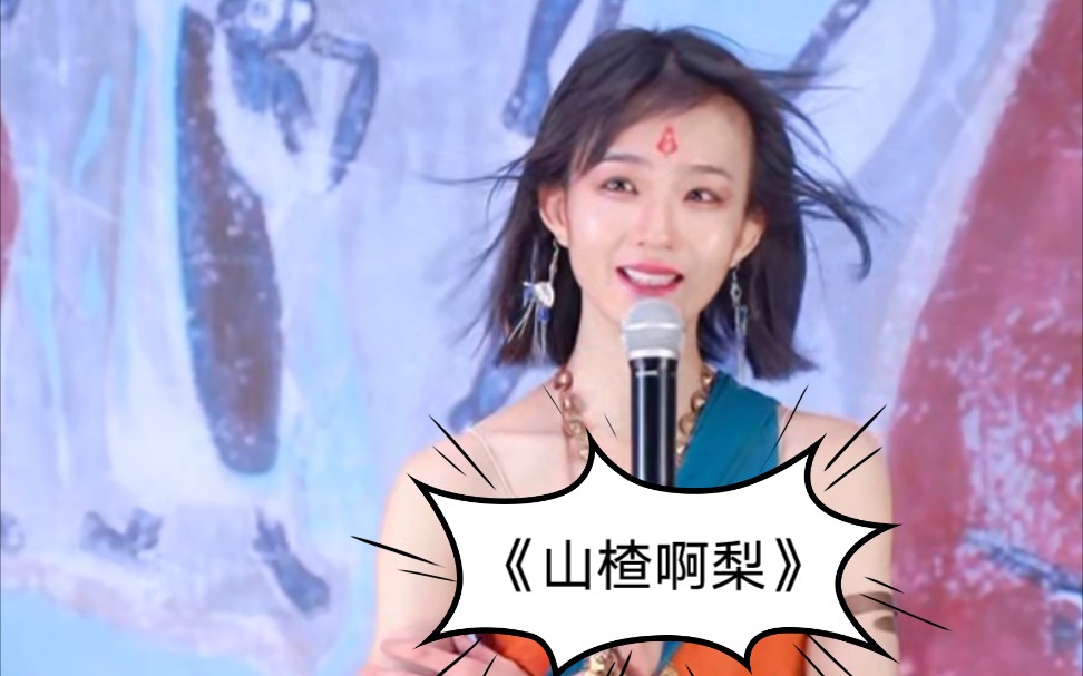 奥大粒《山楂阿梨》