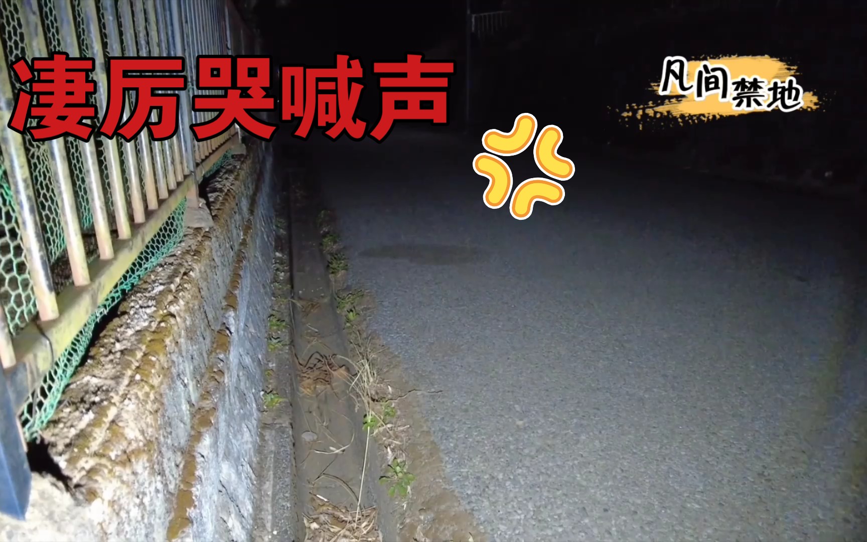 [图]半夜道路传来凄厉的哭喊声，据说附近有墓园，难道……