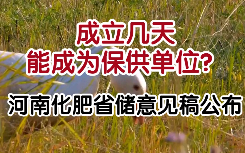 注册几天能成为保供单位吗? 看河南化肥储备意见稿标准哔哩哔哩bilibili