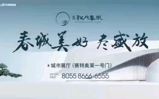 蓝城松月春风,尽绽放哔哩哔哩bilibili