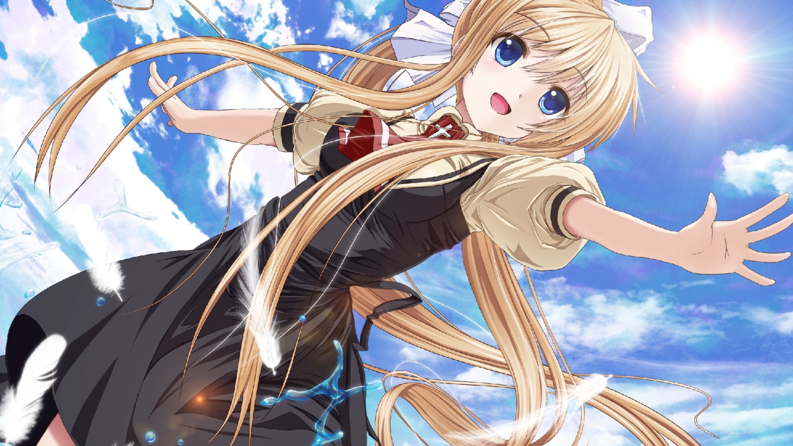 重温经典《鸟之诗》