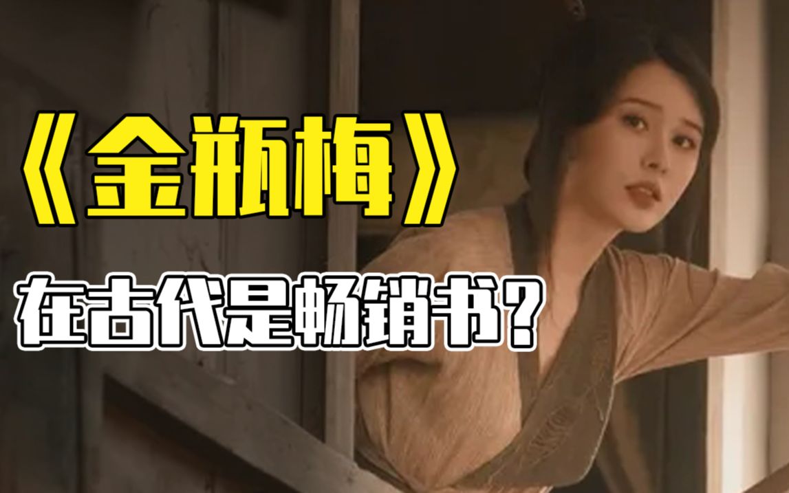 《金瓶梅》竟然不是禁书还是畅销书?古代人真的比我们还要开放?哔哩哔哩bilibili