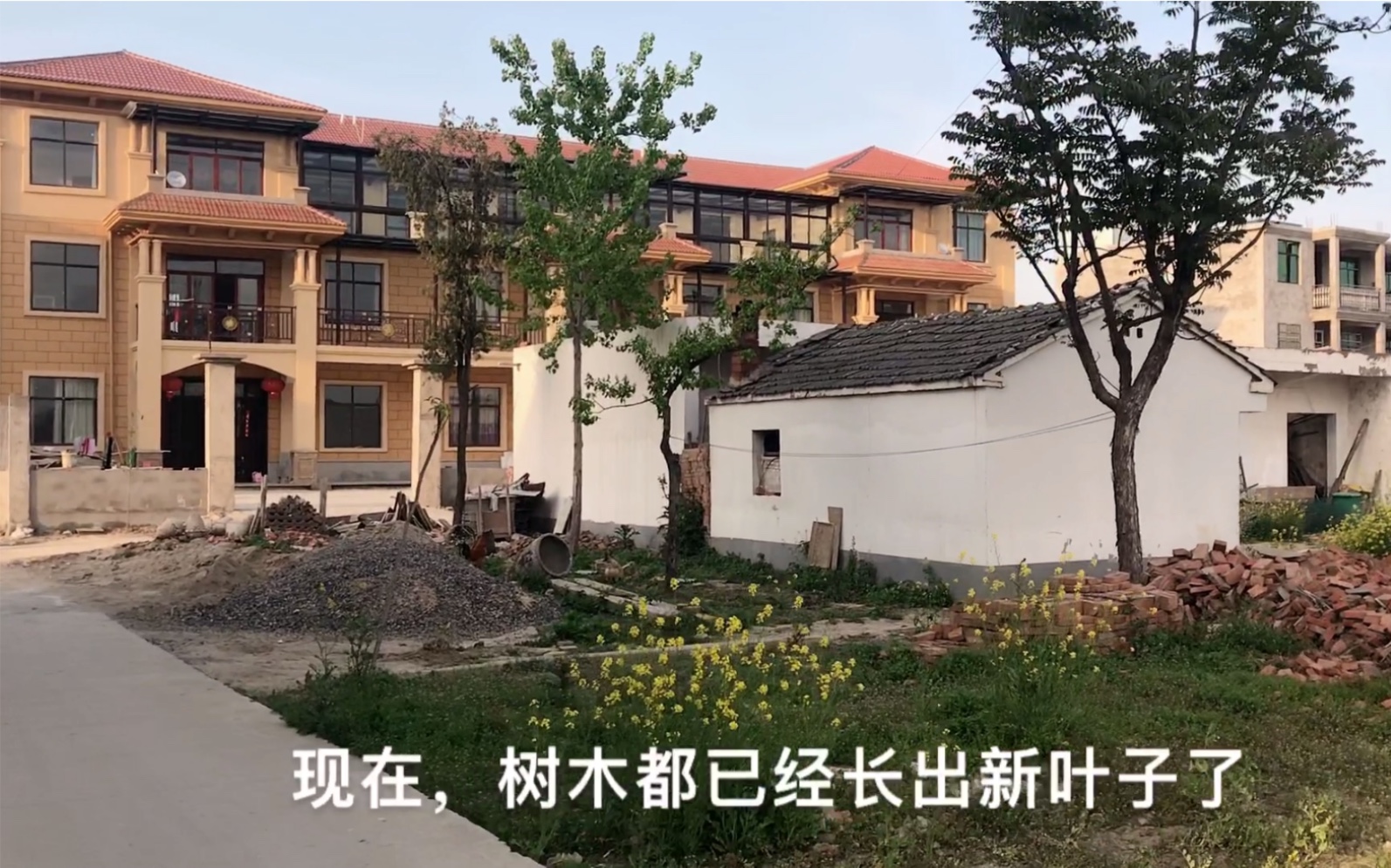 皖北农村自建房实景图图片