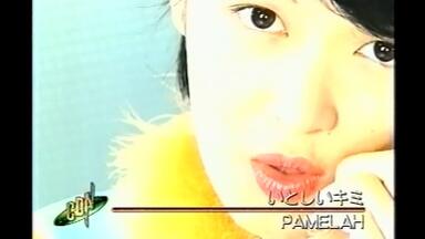 PAMELAH『LOOKING FOR THE TRUTH』1995年当時の貴重動画水原由貴