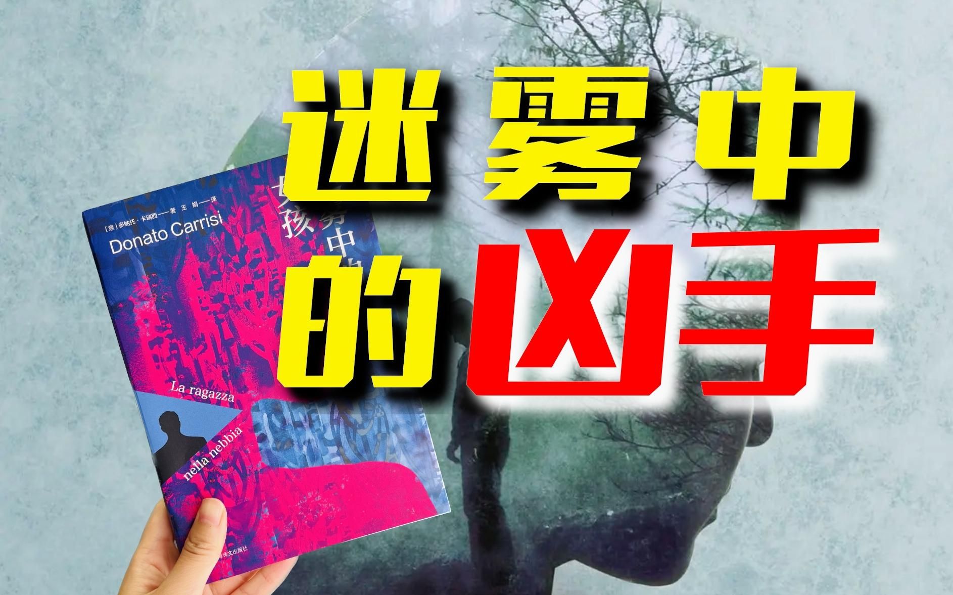 [图]反套路结局？少女失踪案背后的离奇真相！冷门佳作《迷雾中的女孩》