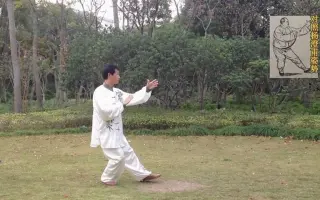 杨氏太极拳85式 哔哩哔哩 Bilibili