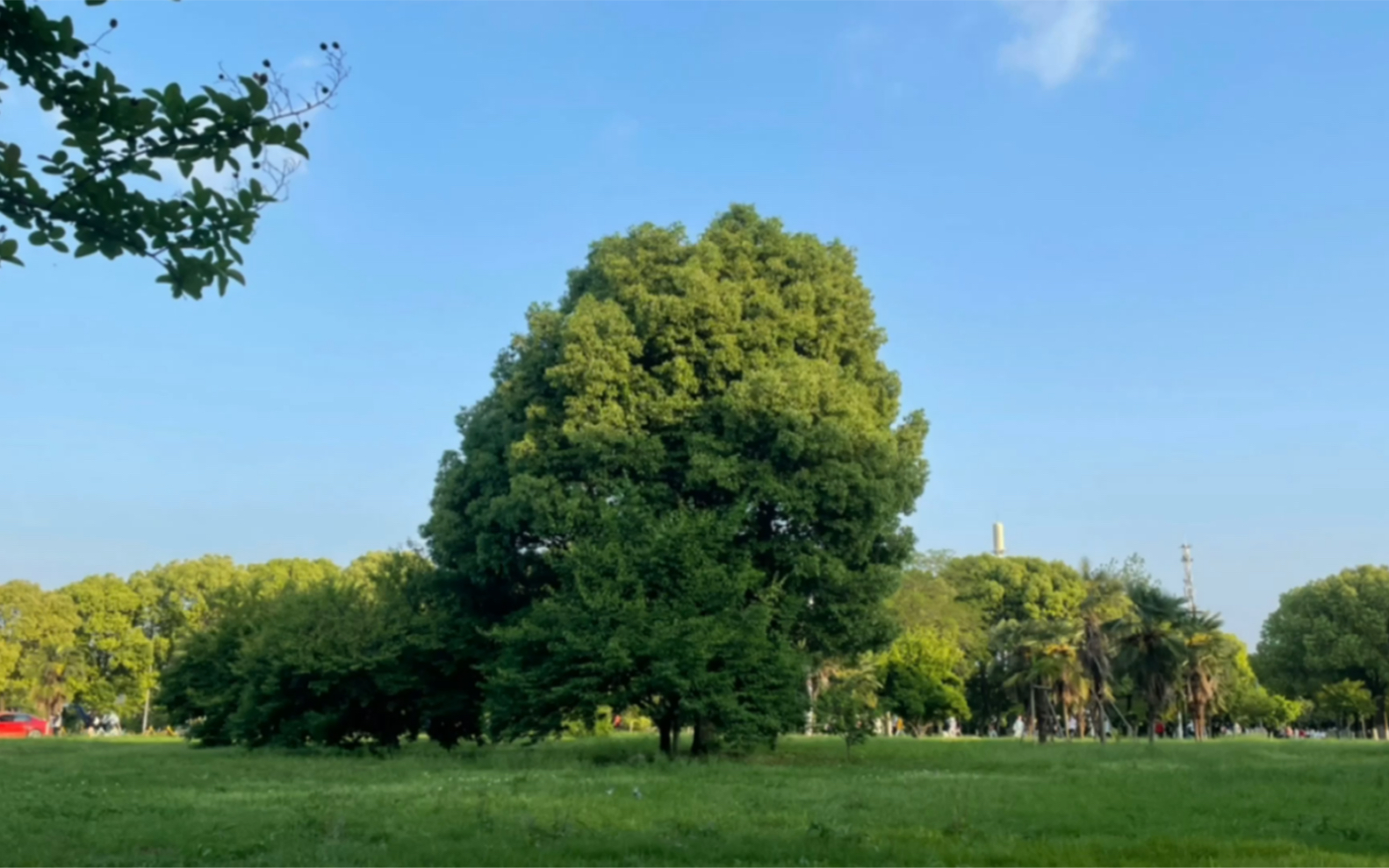 苹果12的4k画质怎么样