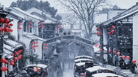 【视频素材ⷧƒŸ雨江南的雪景】两处相思同淋雪,此生也算共白头.哔哩哔哩bilibili