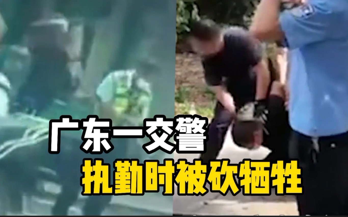 广东茂名一交警执勤遭持刀袭击牺牲 嫌疑人已被抓获哔哩哔哩bilibili