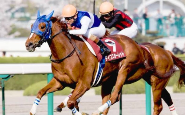 【赛马娘】大和赤驥 ura决赛优胜实录