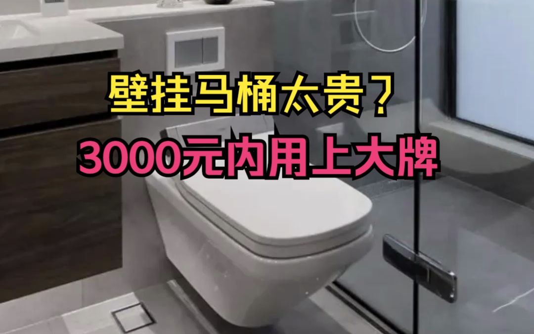 3000元内用上大牌壁挂马桶,安装不到15分钟哔哩哔哩bilibili