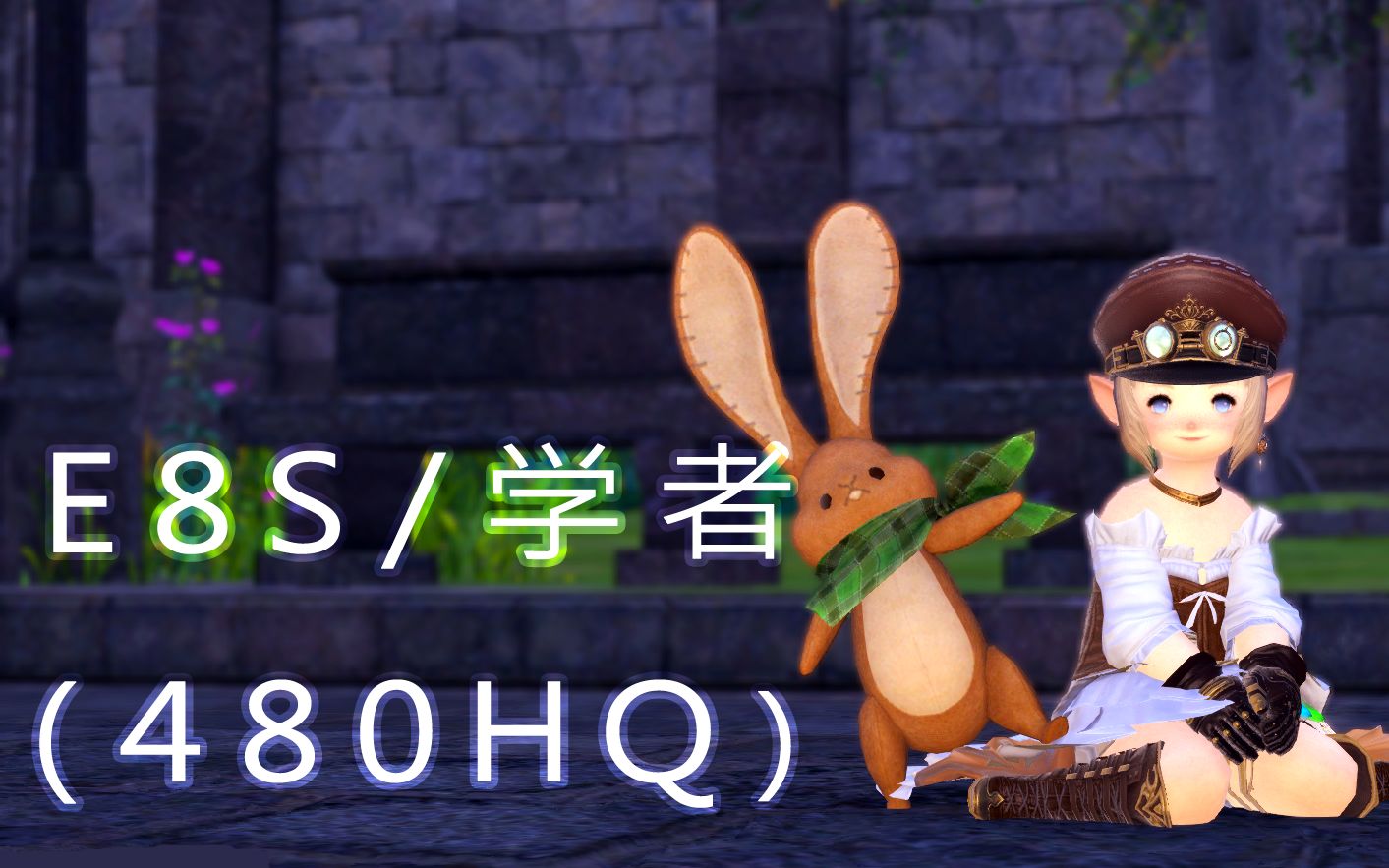 Ff14 E6s 学者野队视角附字幕技能安排 红视频