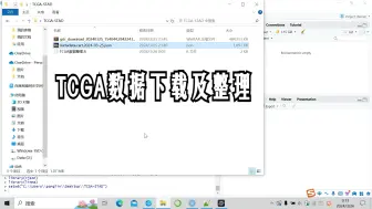 Télécharger la video: R语言TCGA数据下载以及整理