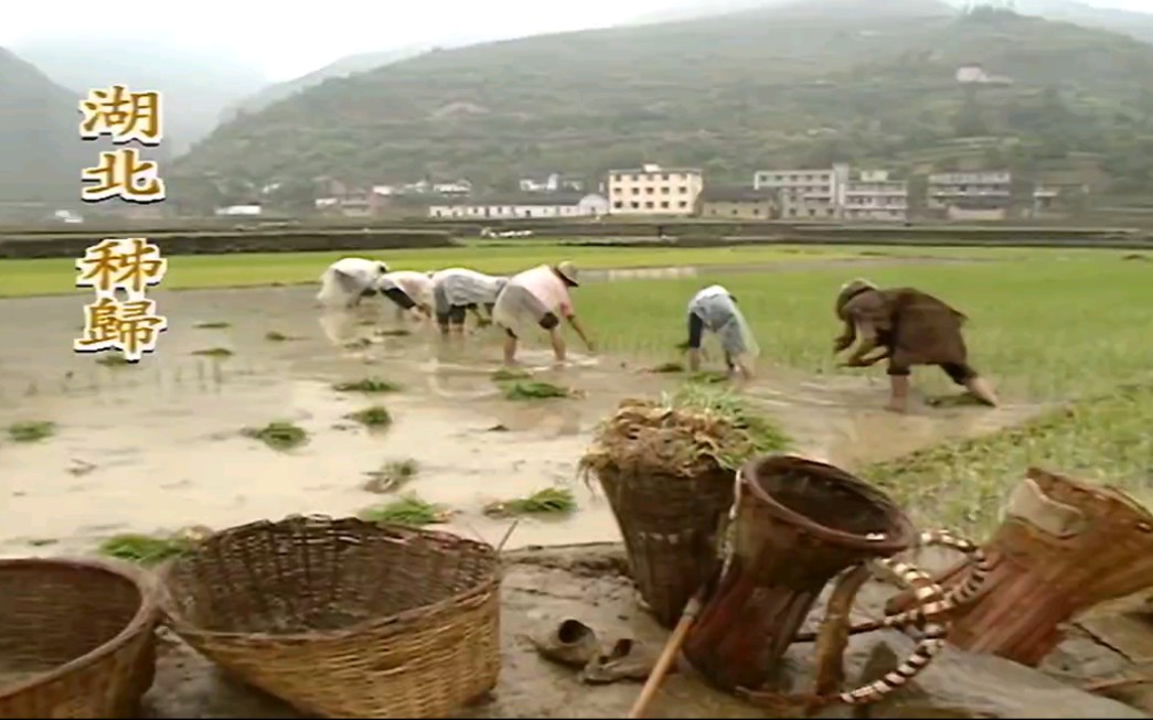 [图]1999年   台灣節目鏡頭下的 話端午 屈原故居 湖北 秭歸 荊州 汨羅江 各地如何過端午 哈爾濱 雲南 江蘇 划龍舟