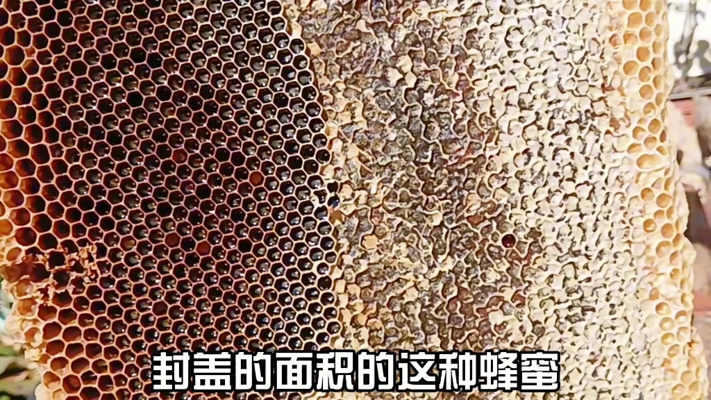 蜂蜜的真假怎么辨别百度百科(蜂蜜真假的辨别方法)