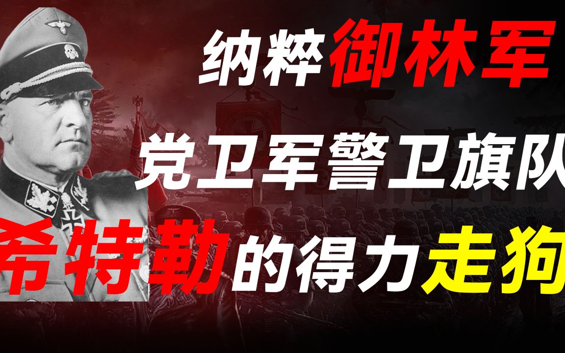 纳粹德国御林军:希特勒最宠爱的部队,警卫旗队师最终如何灭亡哔哩哔哩bilibili