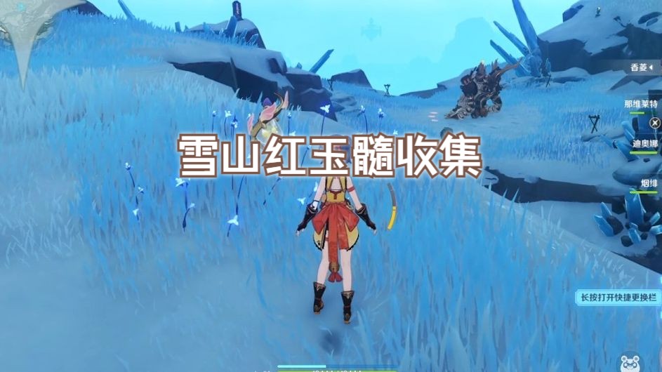 红玉髓收集