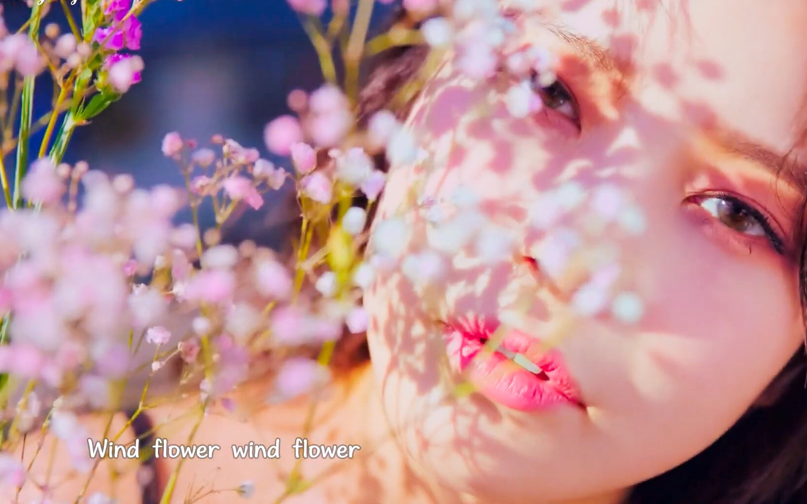 【MV中字】MAMAMOOWind flower哔哩哔哩bilibili