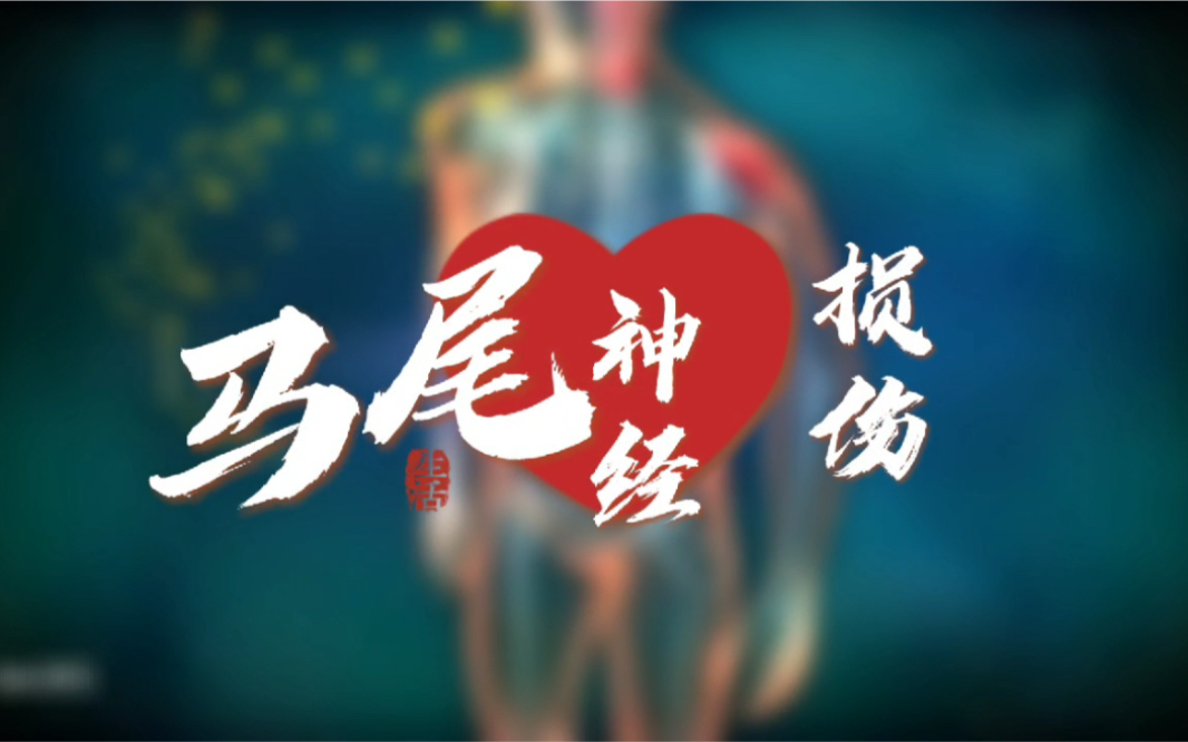 马尾神经损伤能恢复吗?哔哩哔哩bilibili