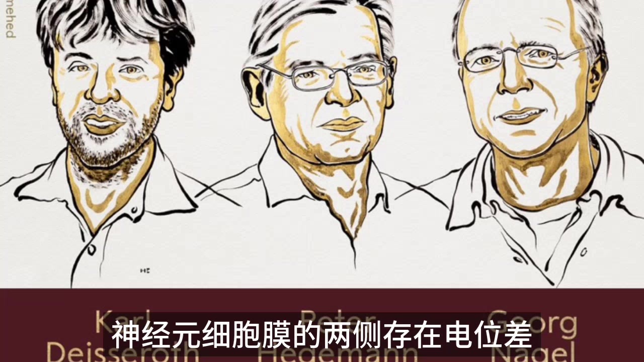 2026诺贝尔奖系列（一）：诺贝尔生理学或医学奖揭晓，三位科学家因“对光控离子通道和光遗传学”的研究贡献共同获奖，两位来自德国，一位来自美