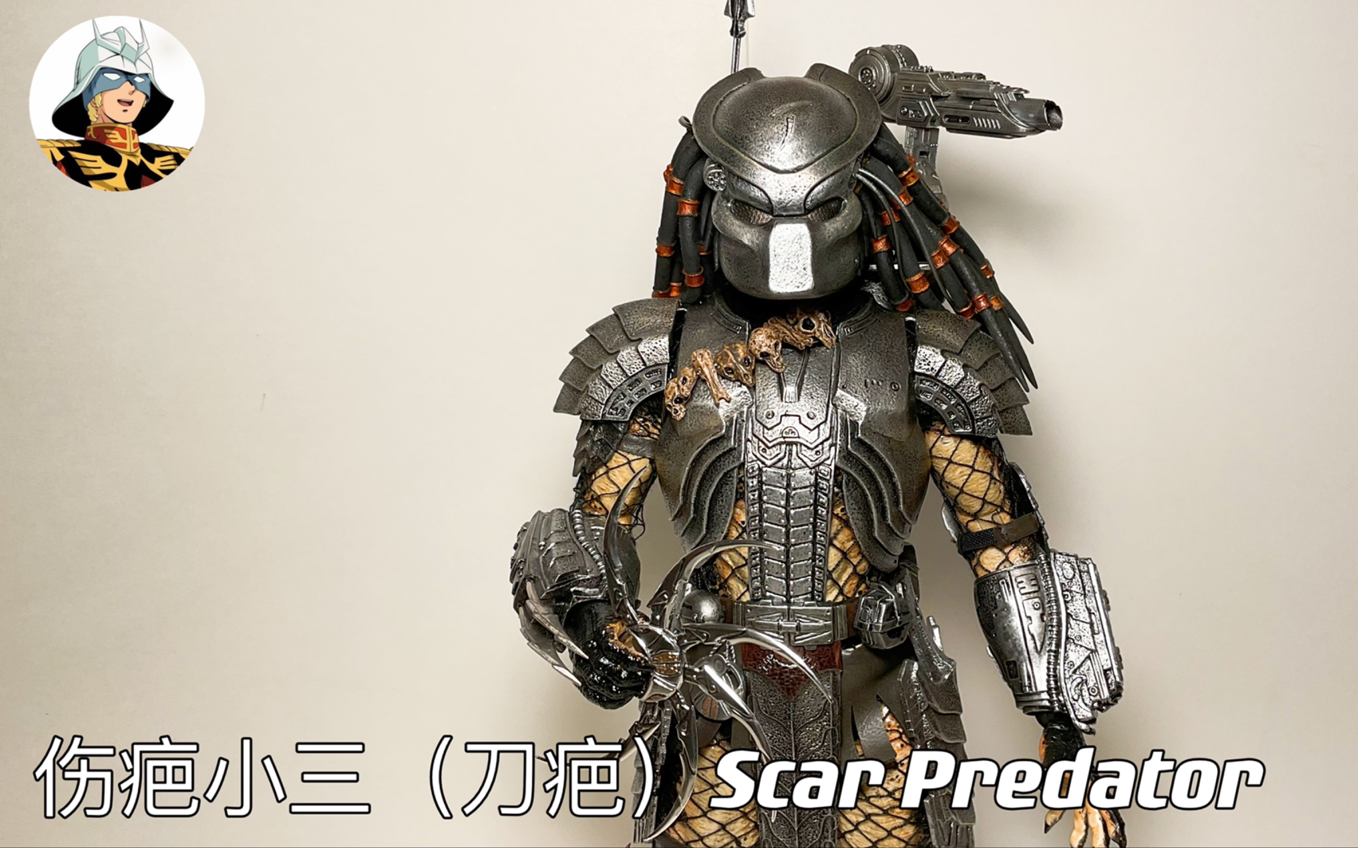 第19期:12寸兵人测评HT 1/6 《异形大战铁血》AVP1伤疤小三(刀疤)Hot Toys Scar Predator (Episode 6)哔哩哔哩bilibili