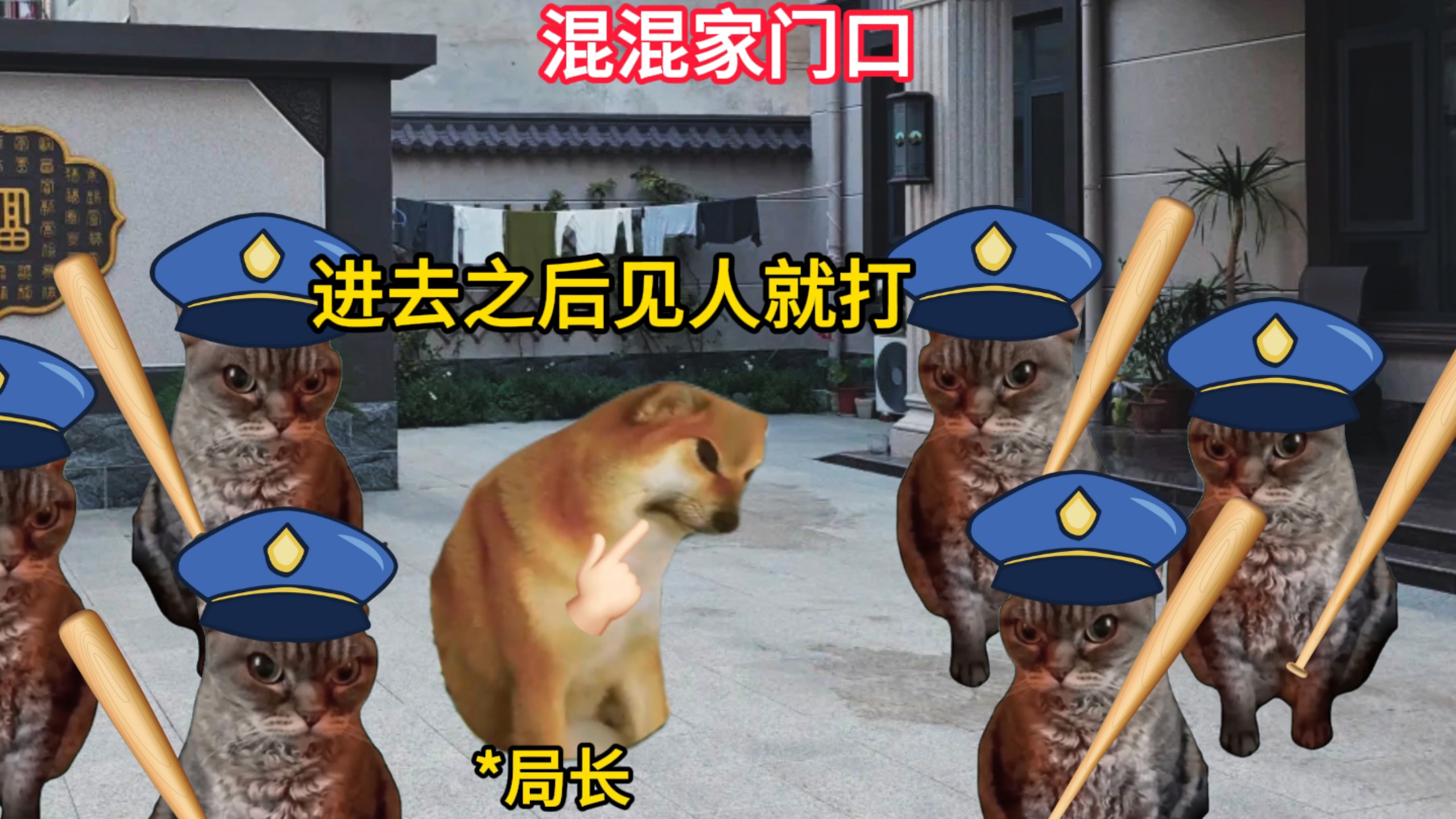 当学霸妹妹被混混拐跑时