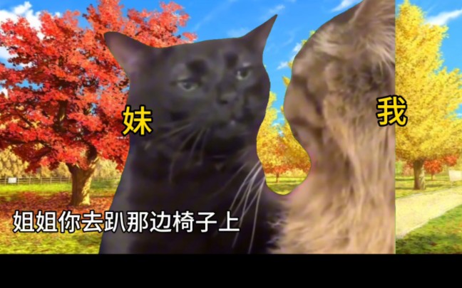 [图]【猫meme】关于我小时候强制和我妹玩sm并且同化我妹这件事…