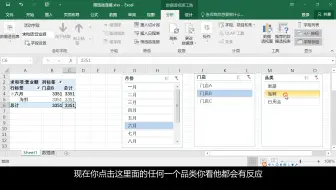 342 如何使用筛选器连接功能「Excel2016自学教程」(数据透视表篇)