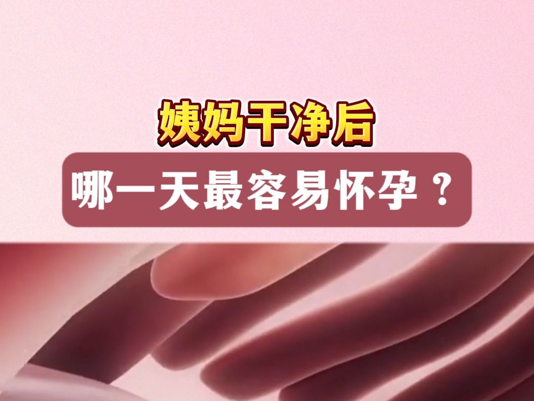 姨妈干净后,哪一天最容易怀孕?哔哩哔哩bilibili