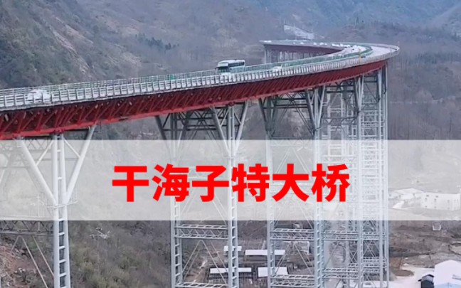 号称四川最牛的公路桥,雅西高速干海子特大桥 ,全长1811米,世界上最长的钢管桁架梁公路桥!哔哩哔哩bilibili