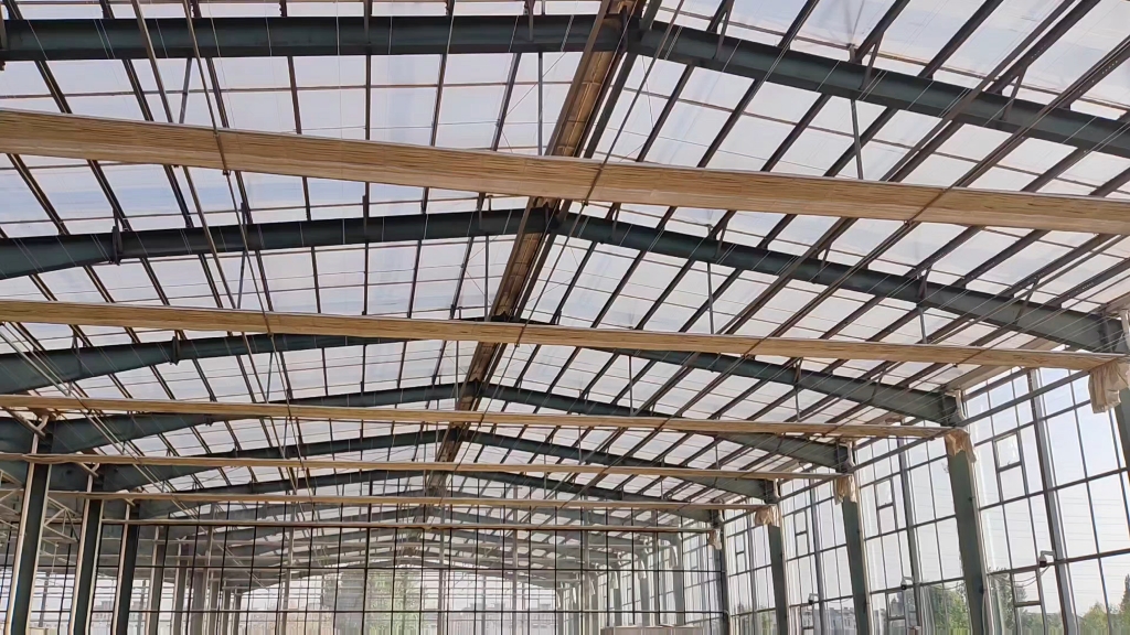 钢结构厂房改造温室大棚