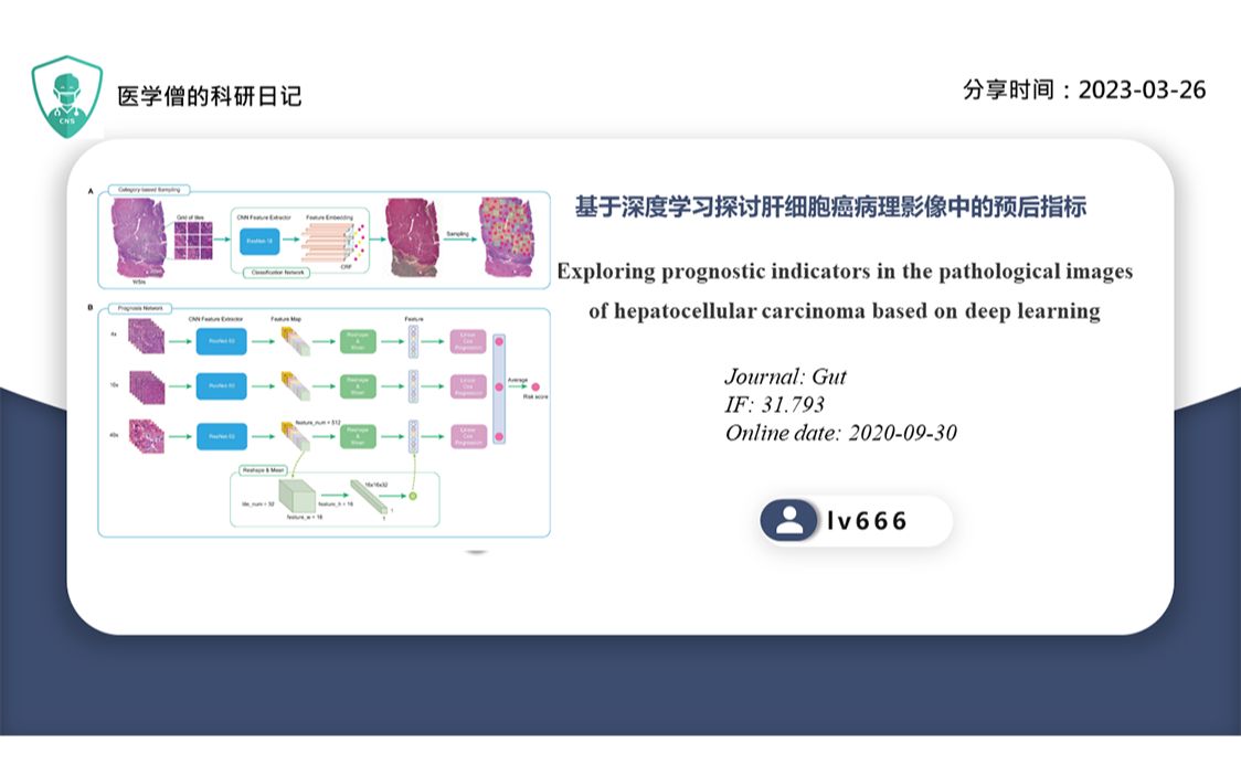 基于深度学习探讨肝细胞癌病理影像中的预后指标哔哩哔哩bilibili