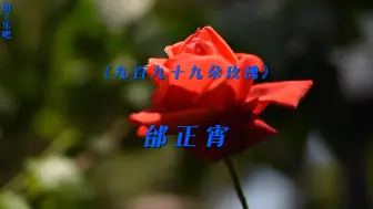 Télécharger la video: 《九百九十九朵玫瑰》- 邰正宵